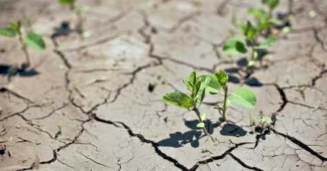 На отсутствие воды для скота жалуются жители села Шокпартогай