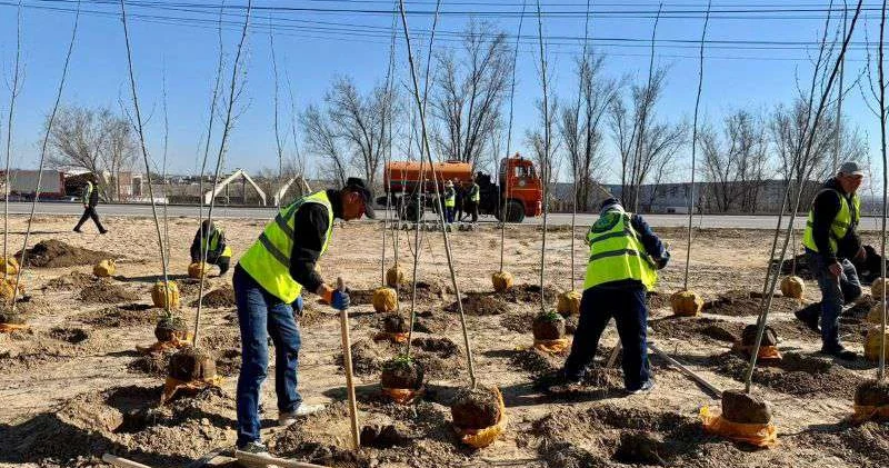 Пополняя зеленый фонд