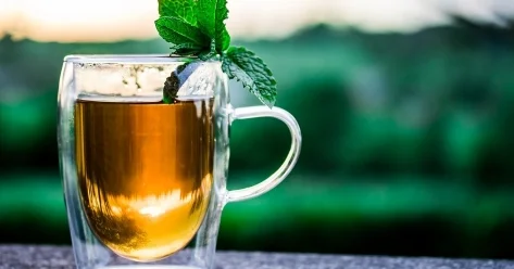 Почти 40% импорта чая в Казахстан приходится на Кению