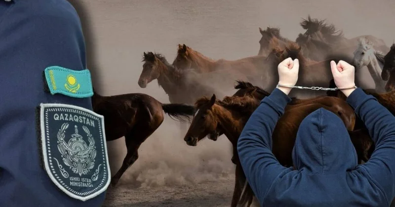 Жетісуда мал ұрлағандар көлігінен айырылып жатыр