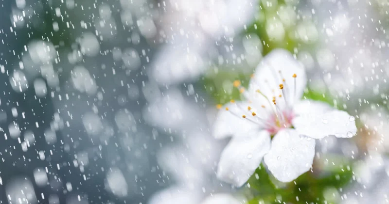 Қазақстанда ауа райы өзгереді: 14 сәуір, сейсенбіге арналған болжам