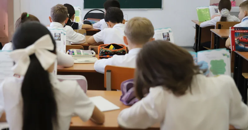 12 с половиной лет