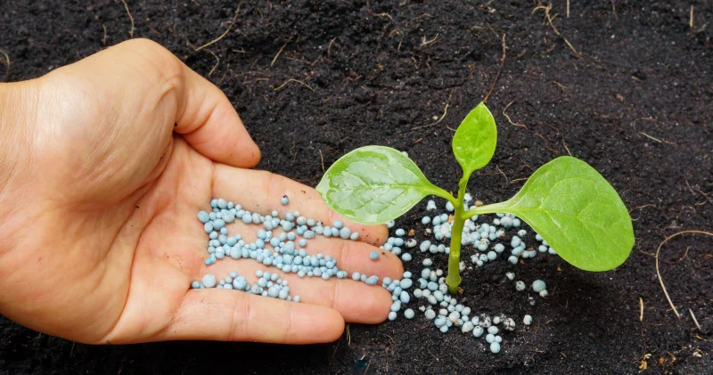 Ормуз бұғазын бұғаттау Қазақстандағы егін мен бағаға қалай әсер етеді?