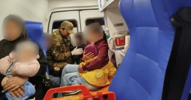 Шесть человек пострадало в ДТП с лошадью на трассе Кызылорда Павлодар