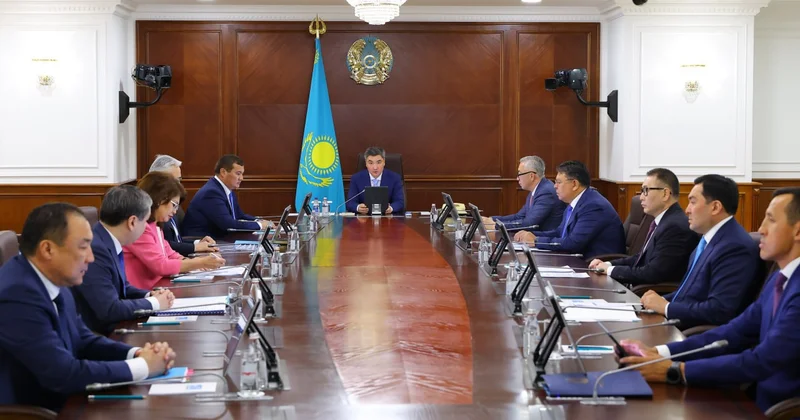 Президент тапсырмаларын жүзеге асыру: Үкімет экономика салаларындағы әлеуетті тиімді пайдалануға басымдық беріп отыр