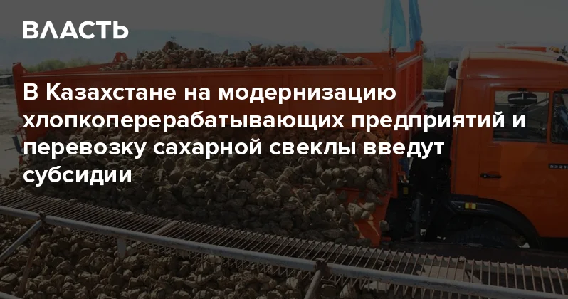 В Казахстане на модернизацию хлопкоперерабатывающих предприятий и перевозку сахарной свеклы введут субсидии Аналитический интернет журнал Власть