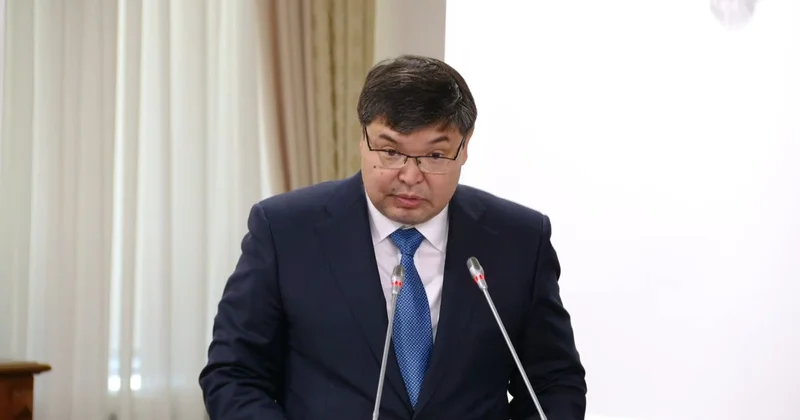 Мәди Тәкиев республикалық бюджет түсімінің орындалуына кедергі болған факторларды атады