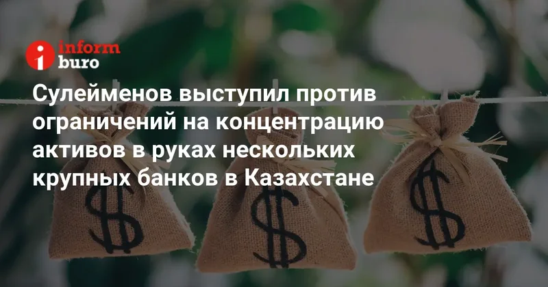 Сулейменов выступил против ограничений на концентрацию активов в руках нескольких крупных банков в Казахстане