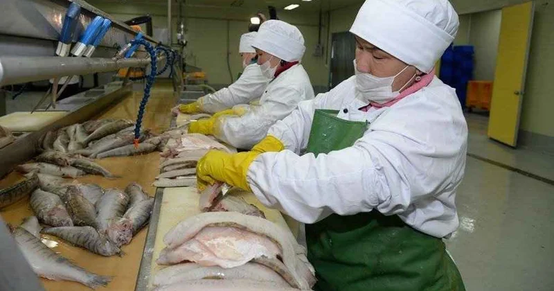 Арал өңірінде жаңа зауыт іске қосылды