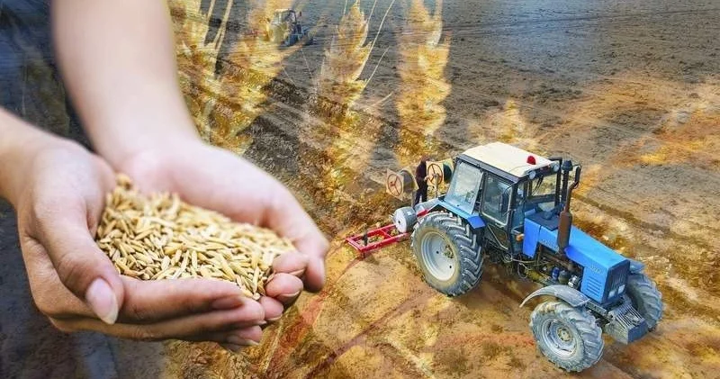 Жыл басынан бері ауыл шаруашылығы өнімдері 4,4% өсті