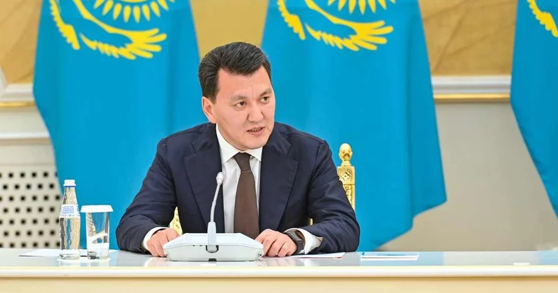 Реформа Парламента не сводится к механическому упразднению Сената Карин