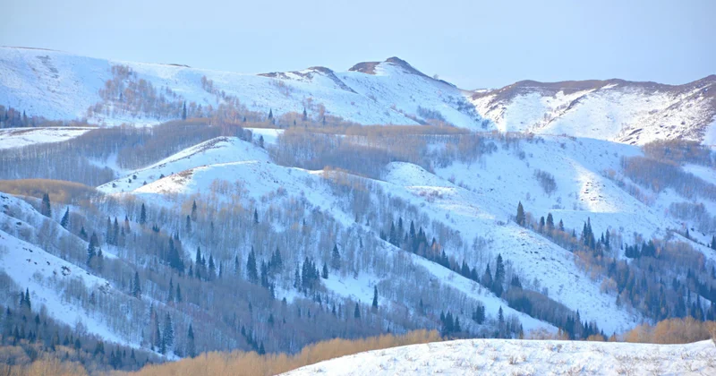 Риддерде жыл бойы жұмыс істейтін демалыс кешені ашылады