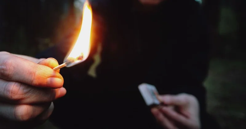 Флаг и изображение лидера иностранного государства сожгли в Алматинской области