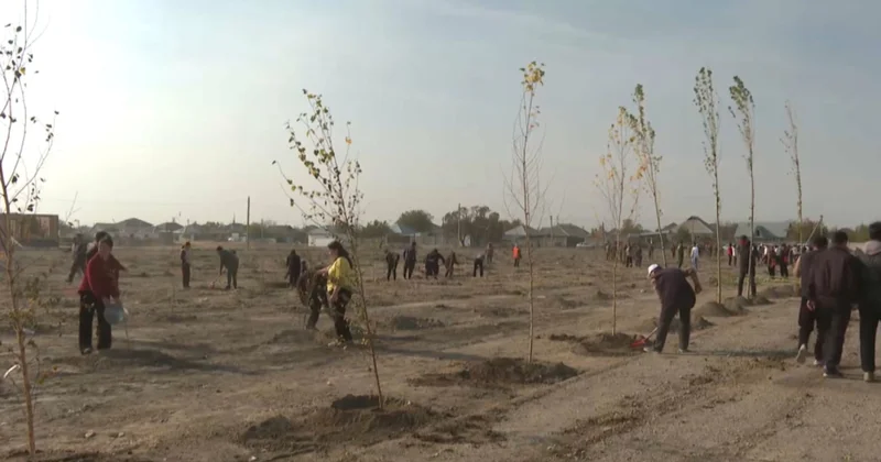 Жамбыл облысында жол жиегі қоқыстан тазартылды
