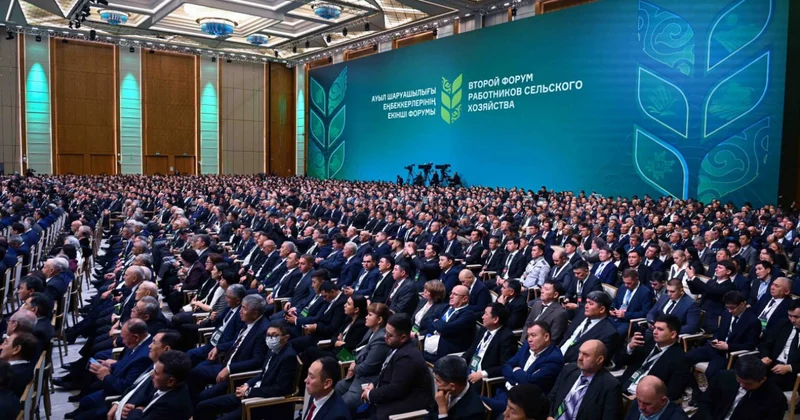 Президент салаға шетел инвесторларын тарту жұмысын тездету қажеттігін айтты