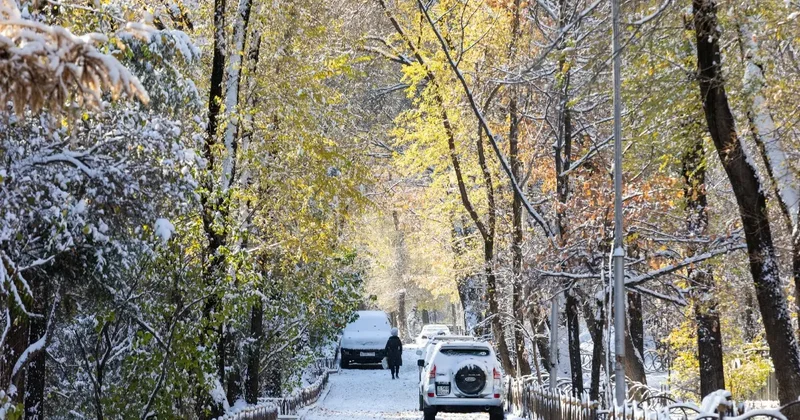 Потепление прогнозируют синоптики в некоторых регионах Казахстана на выходных