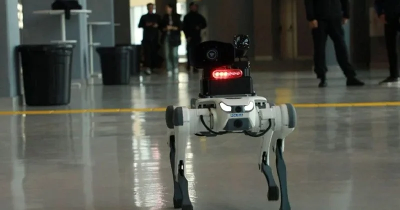 Четвероногие роботы начали снимать нарушения и распознавать лица жителей Астаны