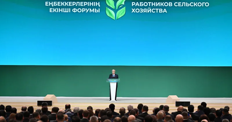 Президент: Біздің ведомстволар түрлі жоспарлар мен жол карталарын әзірлеумен әуестеніп кетті