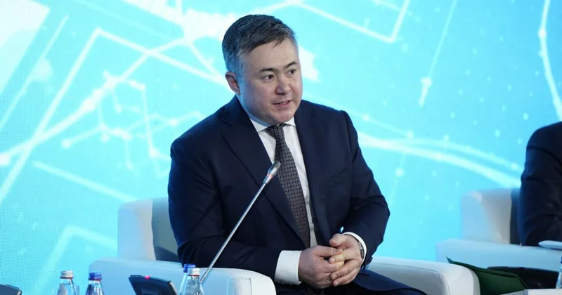 Тимур Сүлейменов: Халықтың жағдайы жақсы болса несие алмас еді