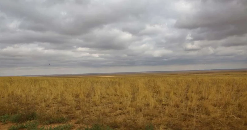 Президент раскритиковал медленные темпы выделения земли под агробизнес