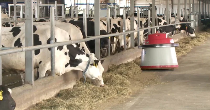 Агроөнеркәсіп саласында айтарлықтай өсім бар