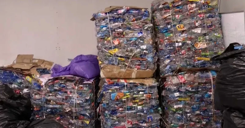 Алматы жастары экологиялық экскурсияға қатысты