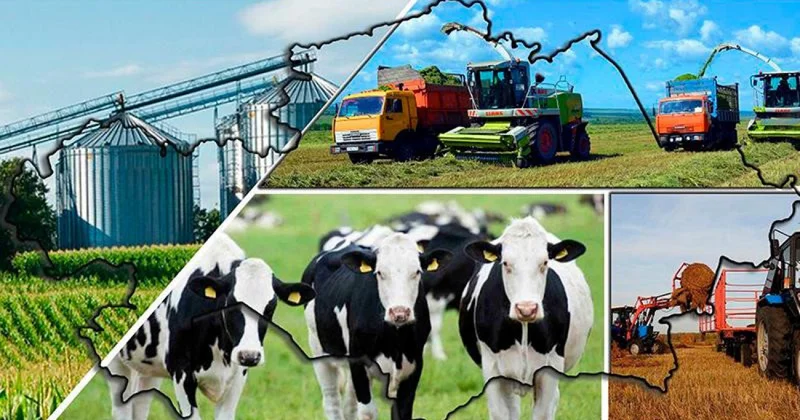 Қасым Жомарт Тоқаев: Мал шаруашылығының әлеуетін барынша пайдалану қажет