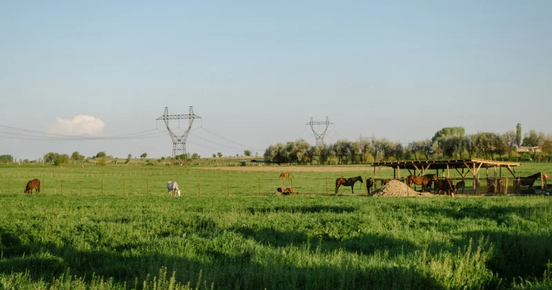 Тоқаев ауыл шаруашылығы саласындағы жұмыс күші туралы: “Жұмыс бар, бірақ онымен шұғылданатын адам аз“