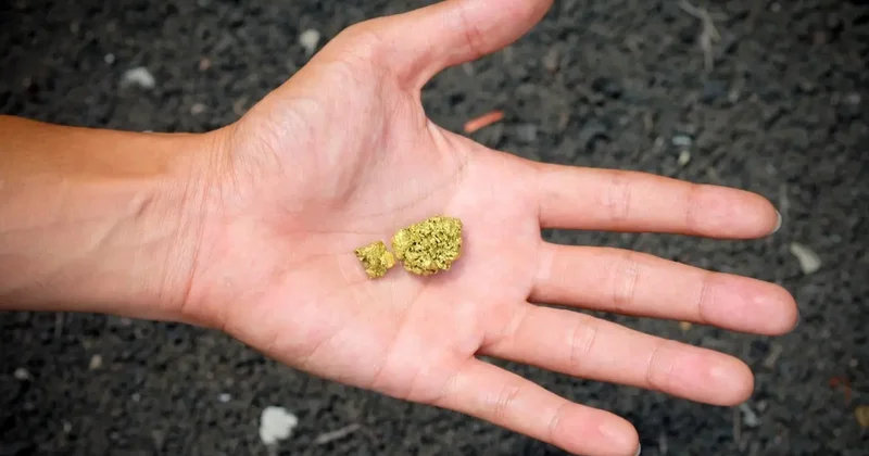 Золотая лихорадка, или Как наживаются чёрные старатели, уничтожая уникальную природу Восточного Казахстана