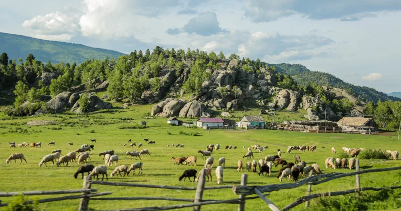 Тоқаев кәсіпкерлерді өз ауыл аймағының өркендеуіне үлес қосуға шақырды