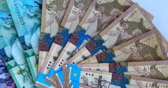 Теңге неліктен нығайып келеді Ұлттық банк басшысының жауабы