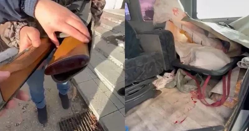 Ақмола облысында полицейлер браконьерлерден төрт елік ұшасын тәркіледі