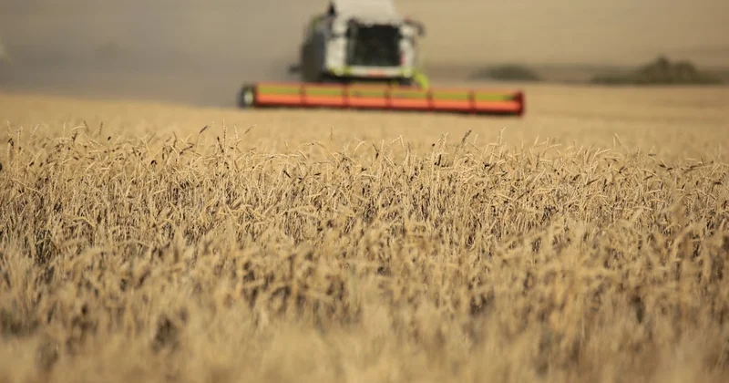 В Казахстане намолочены рекордные 27,1 млн тонн зерна