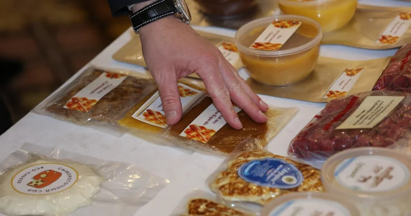 Казахстан будет активно привлекать зарубежных инвесторов в АПК