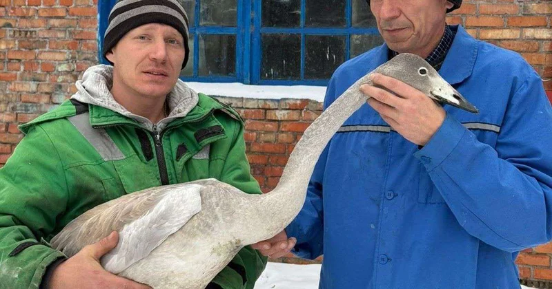 В зоосаде Бурабая пополнение