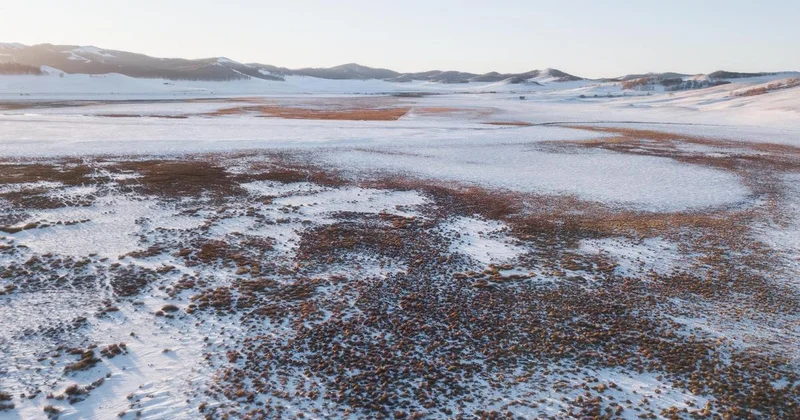 Сидел в холодной машине: мужчина поехал искать скот и провел всю ночь в степи в СКО