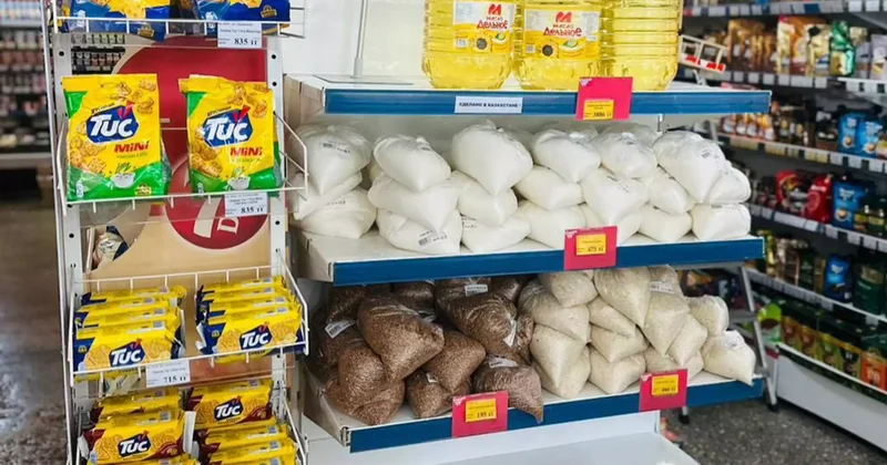 Елдегі азық түлік емес тауарлар бағасының өсімі баяулады үкімет