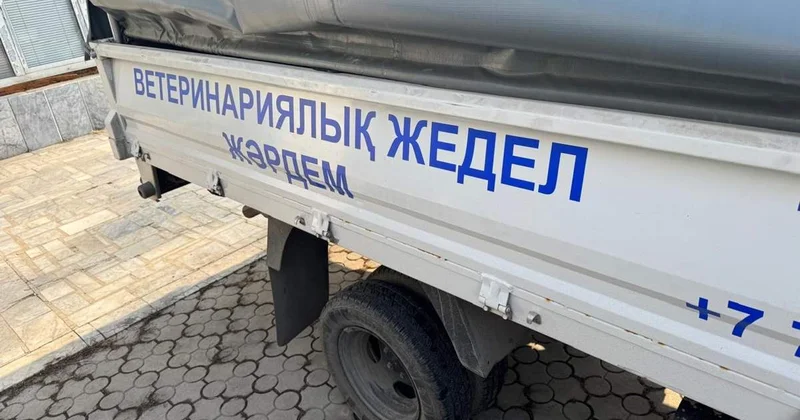 Ақтөбеде мал өлекселерін көметін орын әзірлеуге биыл 686 млн теңге жұмсалады