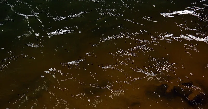 Алматы Су оштрафовали на 14 млн тенге за превышение выбросов метана и сероводорода