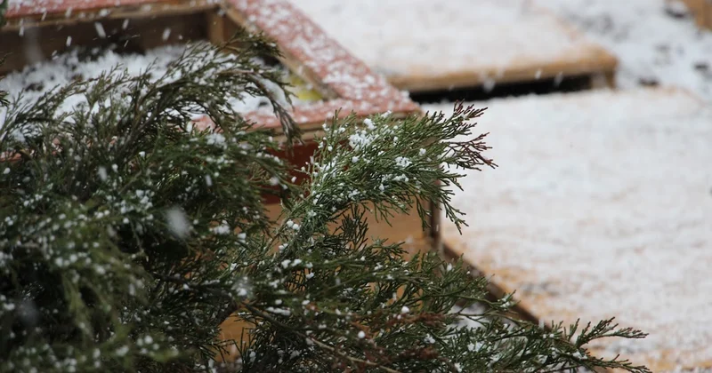 Школьники Астаны из за мороза продолжат учебу дома