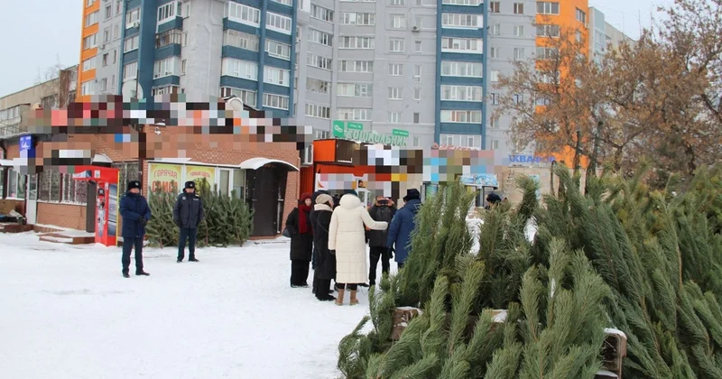Петропавлда тұрғындарға қолданылған шыршалардан оңай құтылу жолы ұсынылды