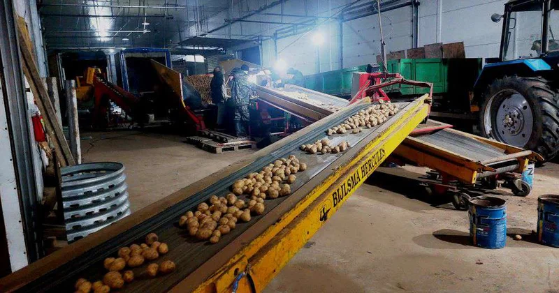 На второй хлеб всегда спрос высок