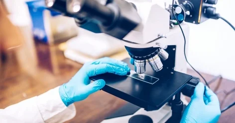 Ужесточить наказание для водителей наркоманов призывает депутат