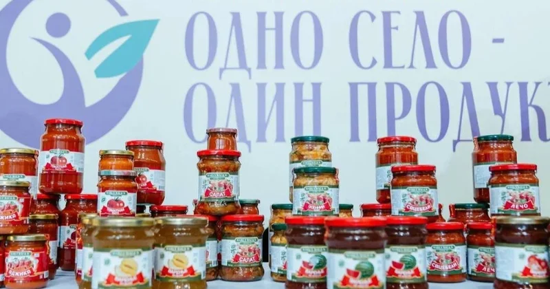 Бір ауыл бір өнім жобасы: 20 өңірде көрме өтті