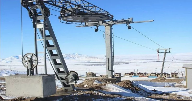 Қаралма қашанғы қараусыз қалады?