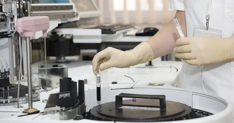 Гранты на сотни миллионов тенге разворовали под видом научных исследований в Акмолинской области