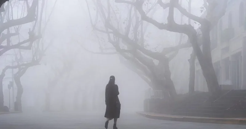 Морозы до −40, метели и туман: синоптики объявили штормовое предупреждение во всех регионах