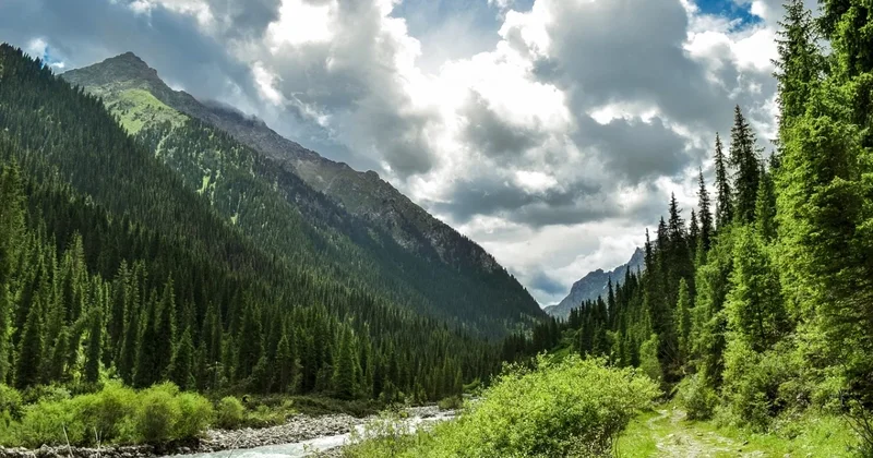 Безос и Маск будут обеспечивать интернетом казахстанские курорты