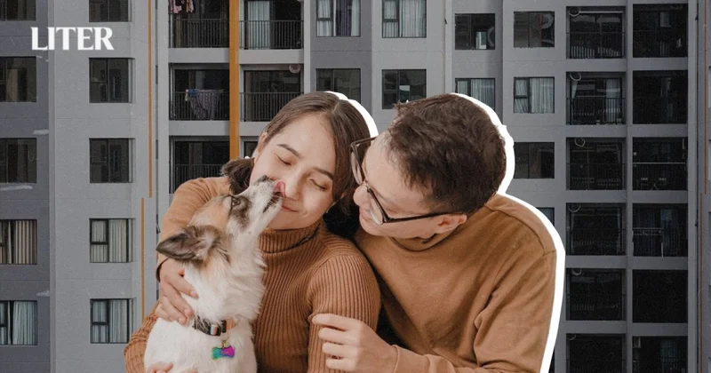 Домашние животные в многоэтажках: что важно знать хозяевам