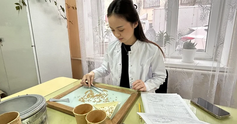 Елімізде тұқым сапасы қалай тексеріледі